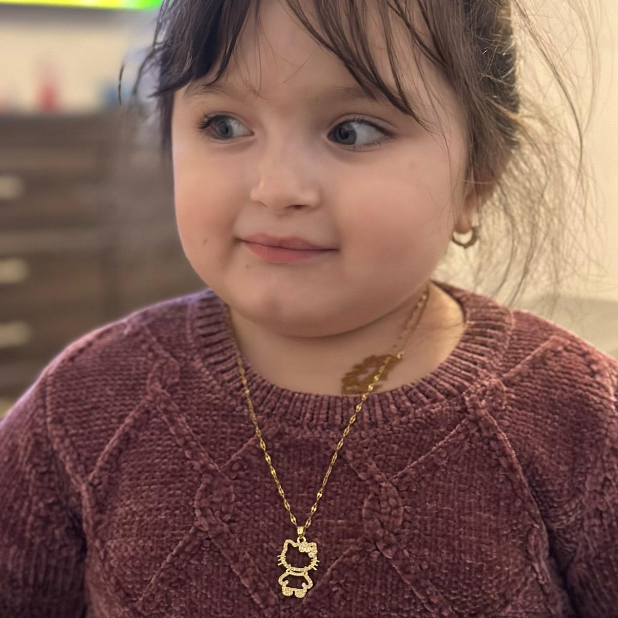 HK Diamond Cat Necklace